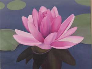 10 - 102580 - painting water lily - 